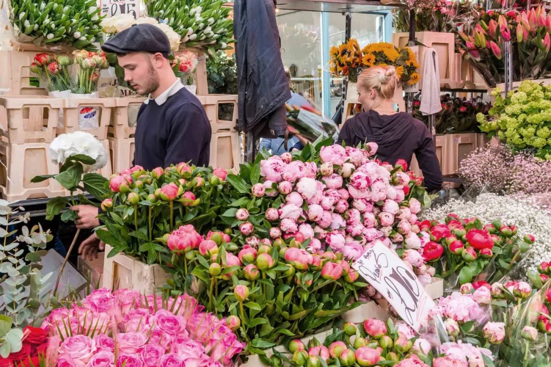 倫敦最新鮮最便宜的花 就在這些地方