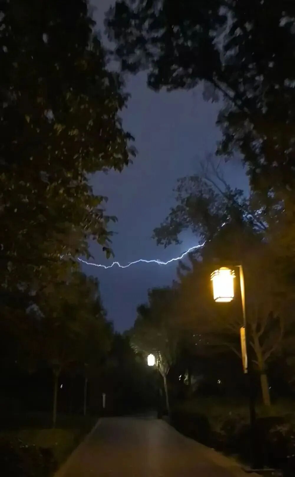 400多人挤爆医院急诊科！雷雨天后要关窗，警惕雷暴哮喘