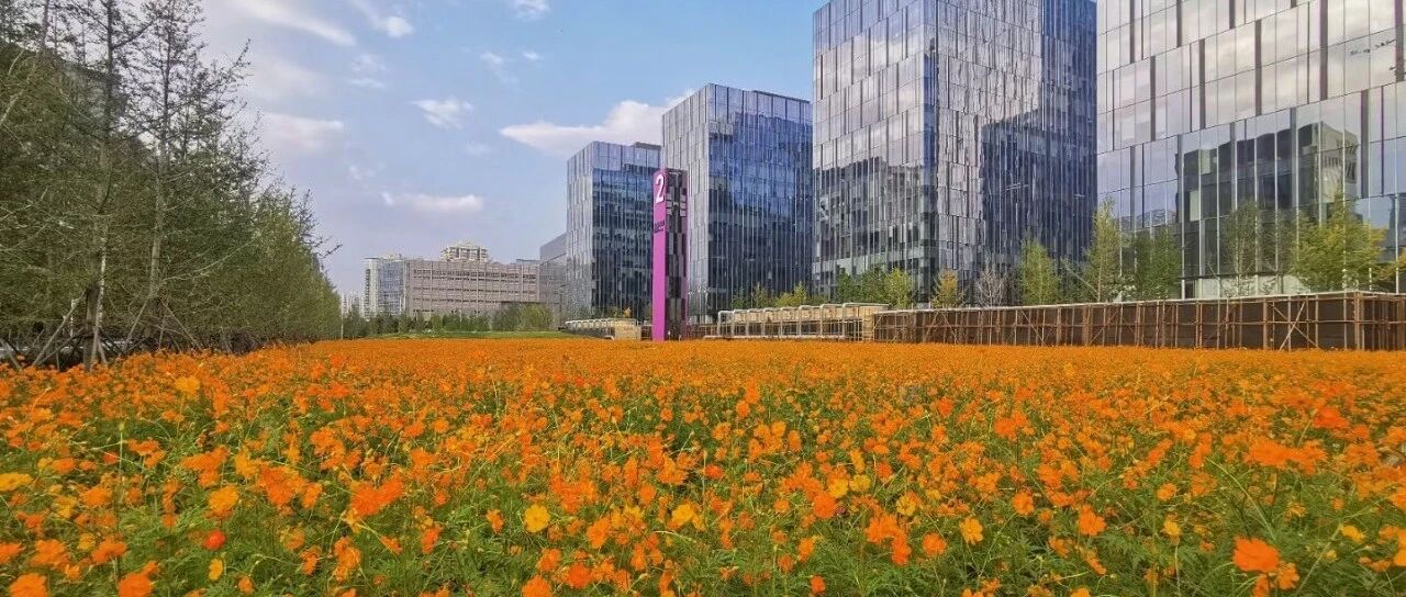 2020年困扰你的健康问题有这些吗？2021让我们一起打败它们