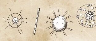 内裤上总有分泌物？出现这几种疾病信号一定要警惕…