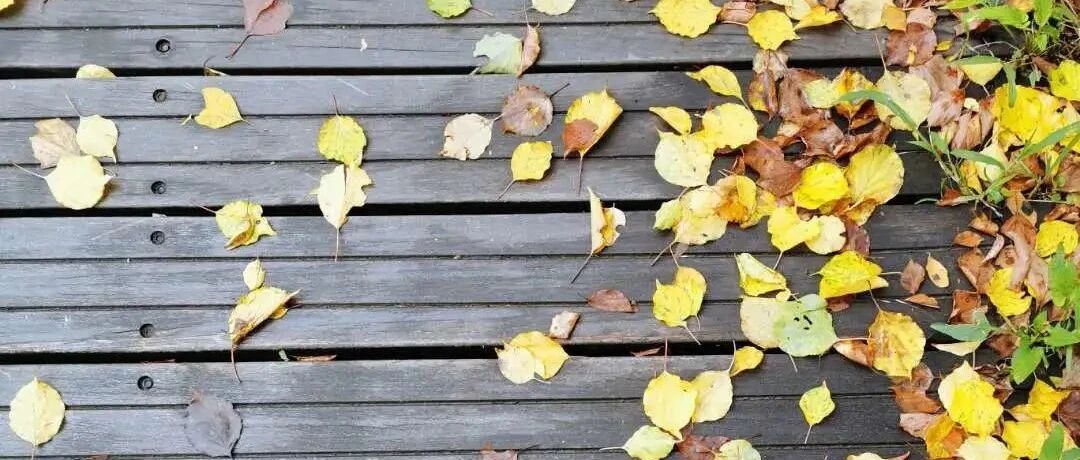 立秋养生注意“三防四养” ：愿你金秋无恙 百病皆休