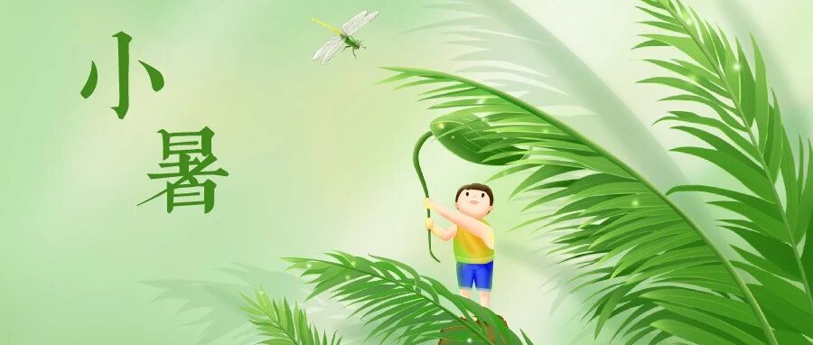 二十四节气·小暑 | 炎天暑月易生病 试试饮食这“三宝”
