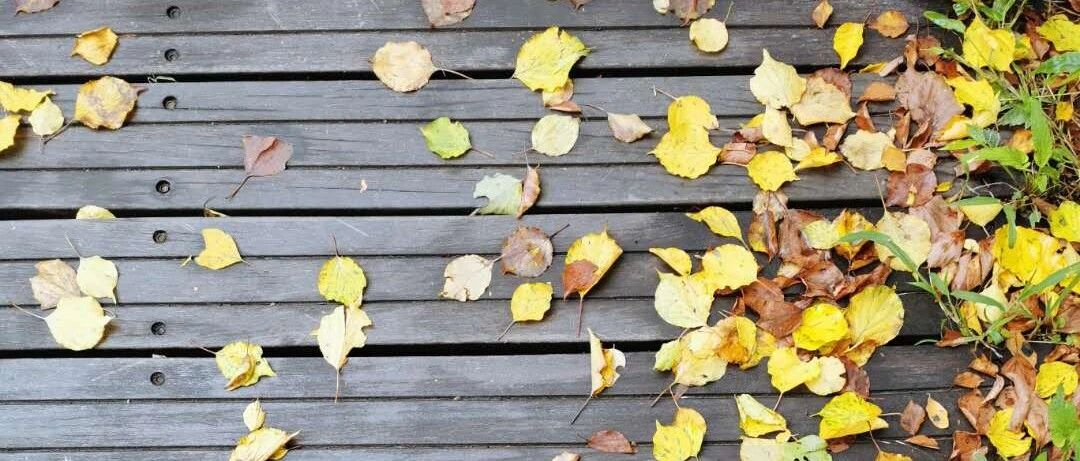 秋季养生有4防：秋燥、秋凉、秋乏、秋郁！