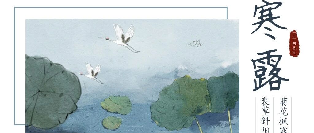 秋露渐重，岁寒加衣：寒露之后养生记住“三防”