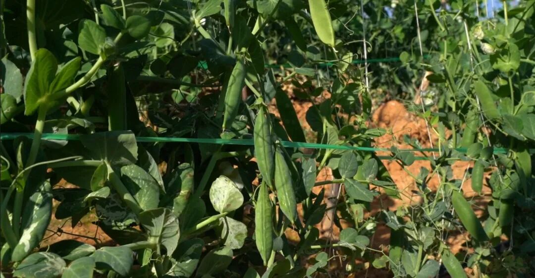 屏幕截图 2025-12-08 163232.jpg