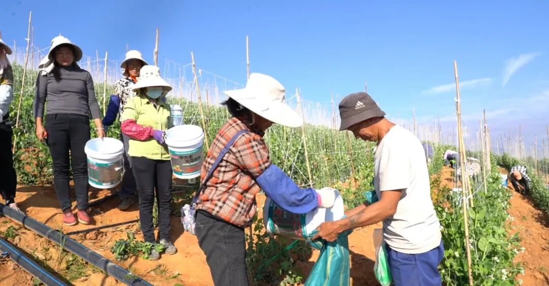 屏幕截图 2025-12-08 163325.jpg