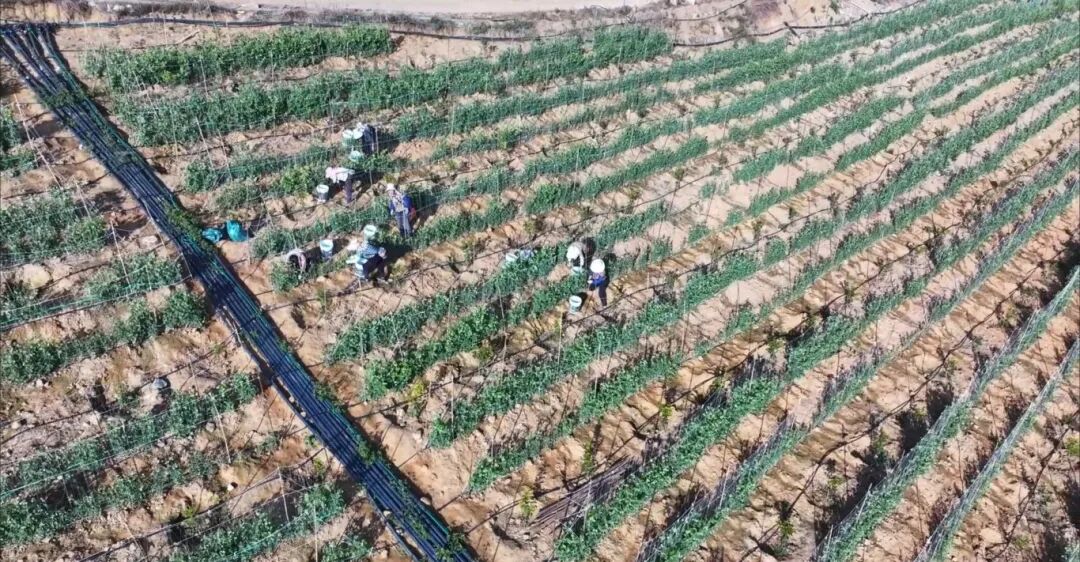 屏幕截图 2025-12-08 162750.jpg