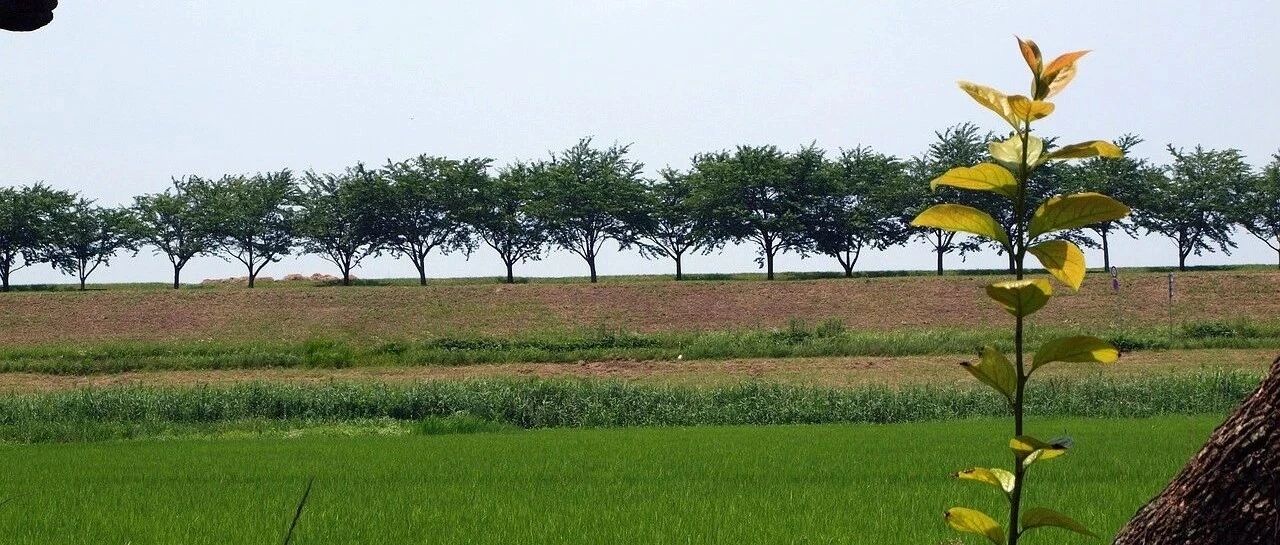 日常运维问题汇总_40 - 封面图