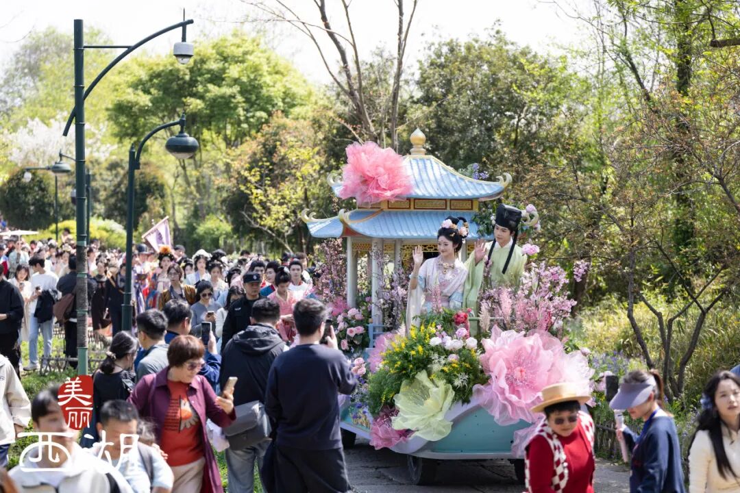 西溪花朝节花海盛景