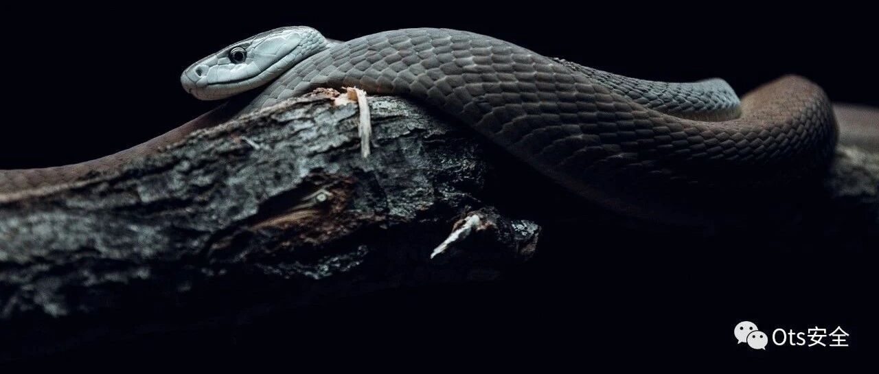 Example Image