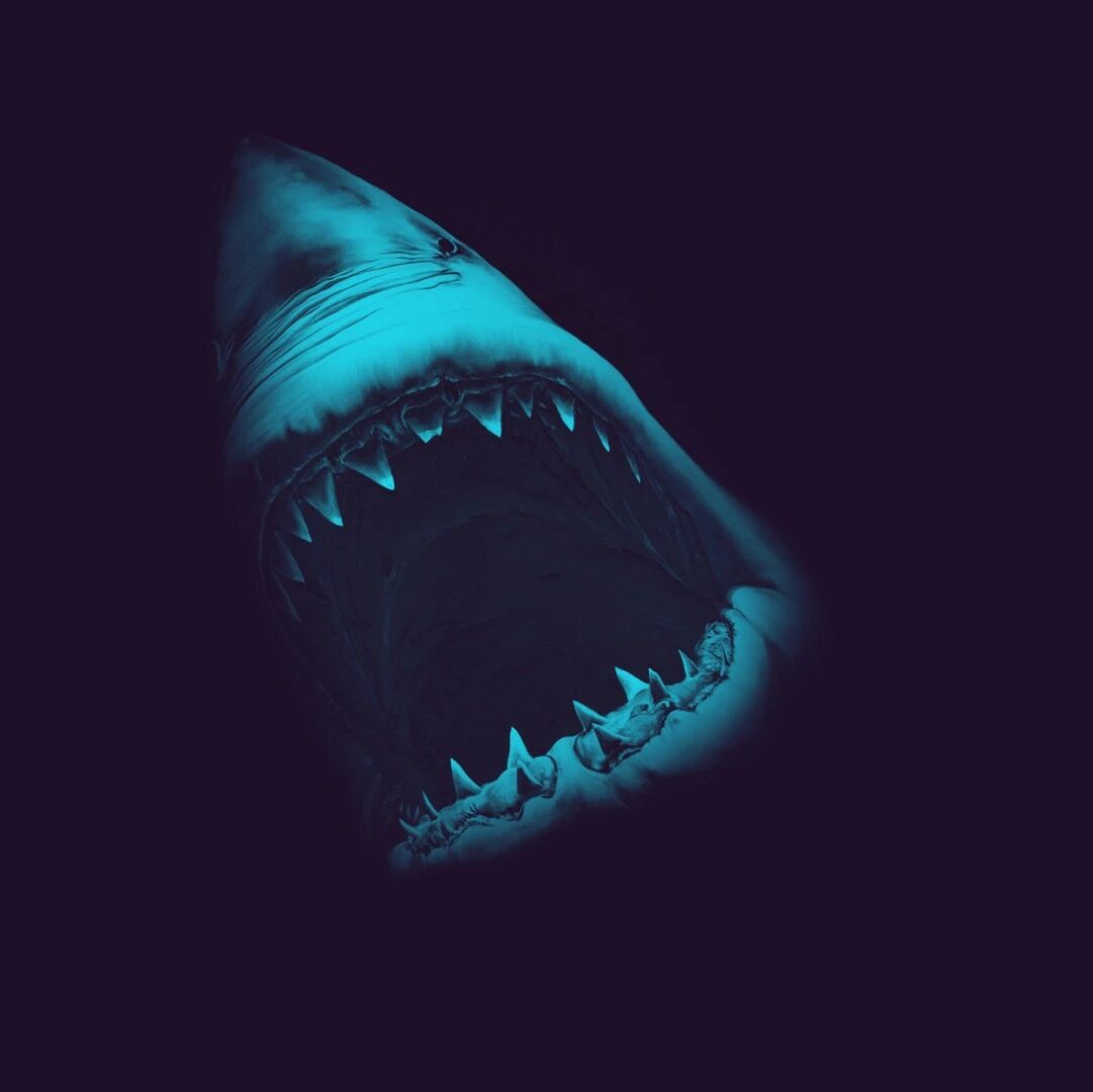 Example Image