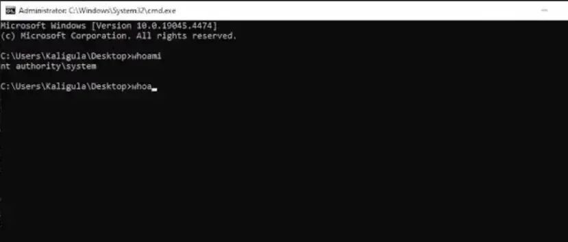 Example Image