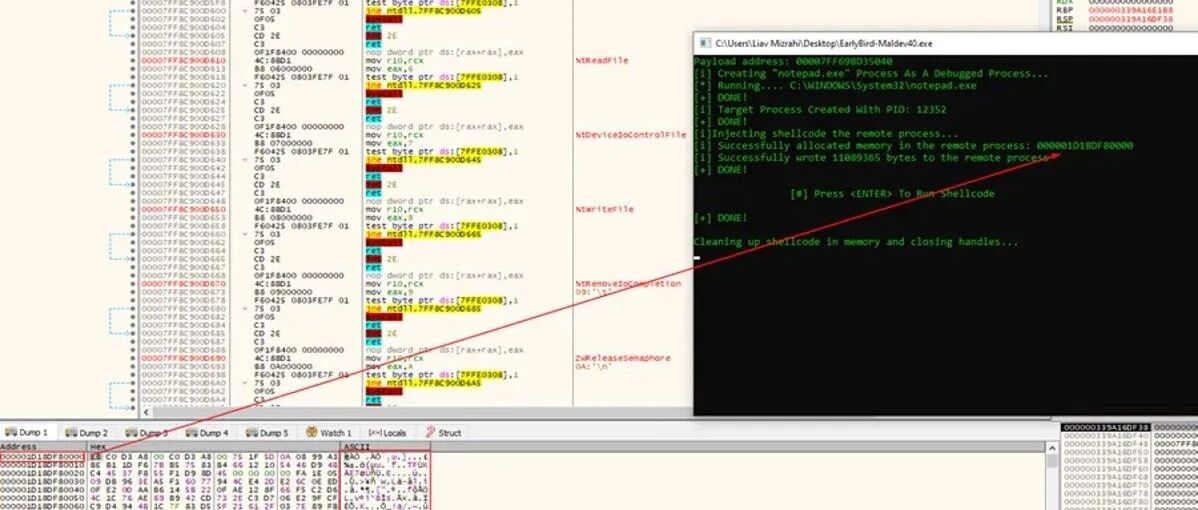 Example Image