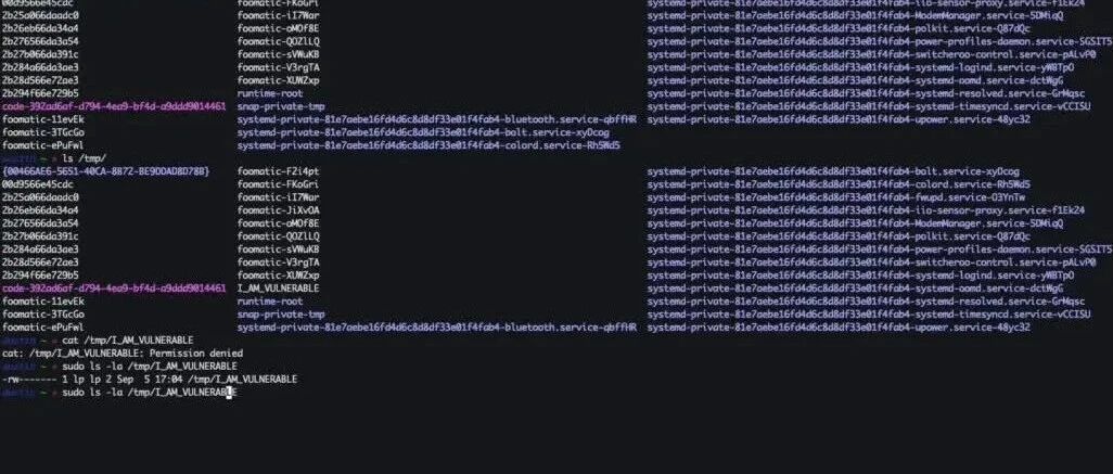 Example Image