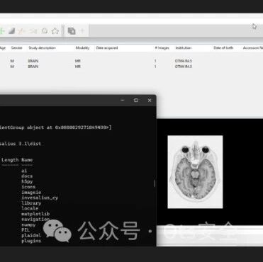 Example Image