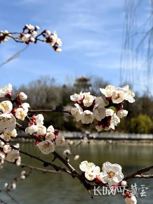 摄影：程梦茹 (4)_副本