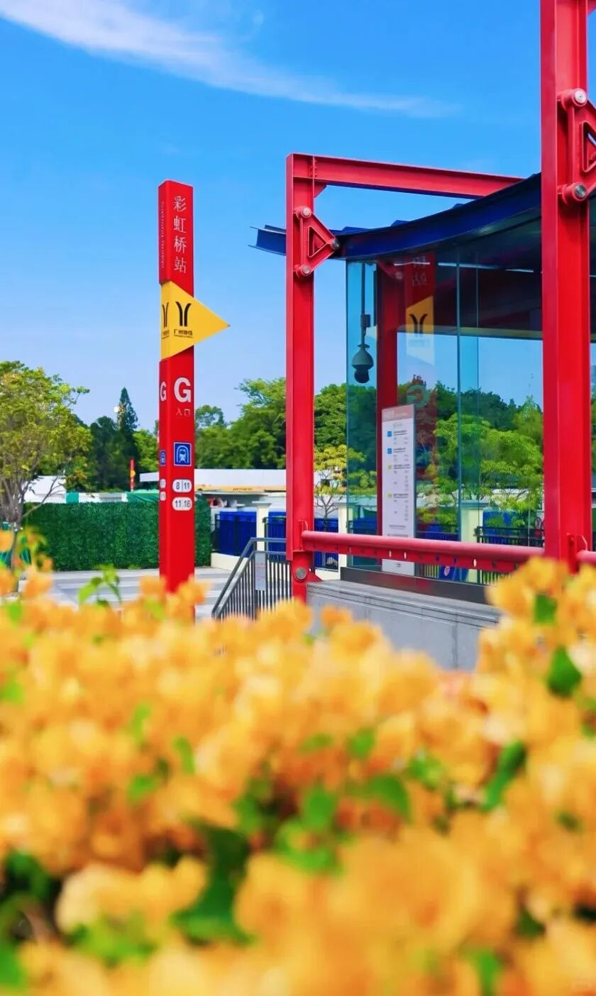 图源：小红书@东