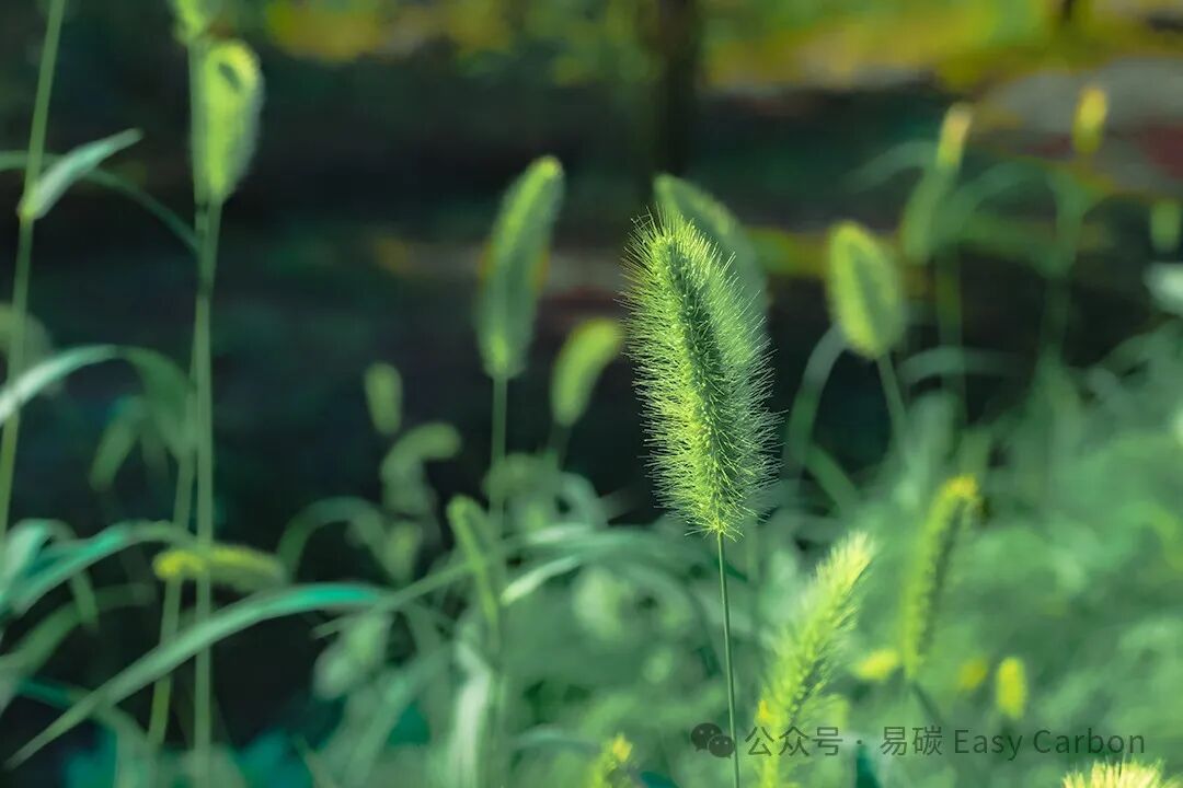 640?wx_fmt=jpeg&from=appmsg