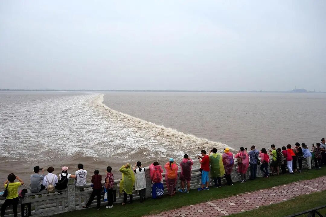 钱塘江再现鱼鳞潮