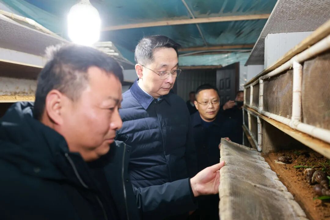 县委书记邱舰到挂点帮扶村调研指导工作