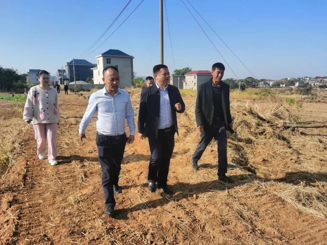 乡镇党委书记一周工作动态地11月4日至11月10日