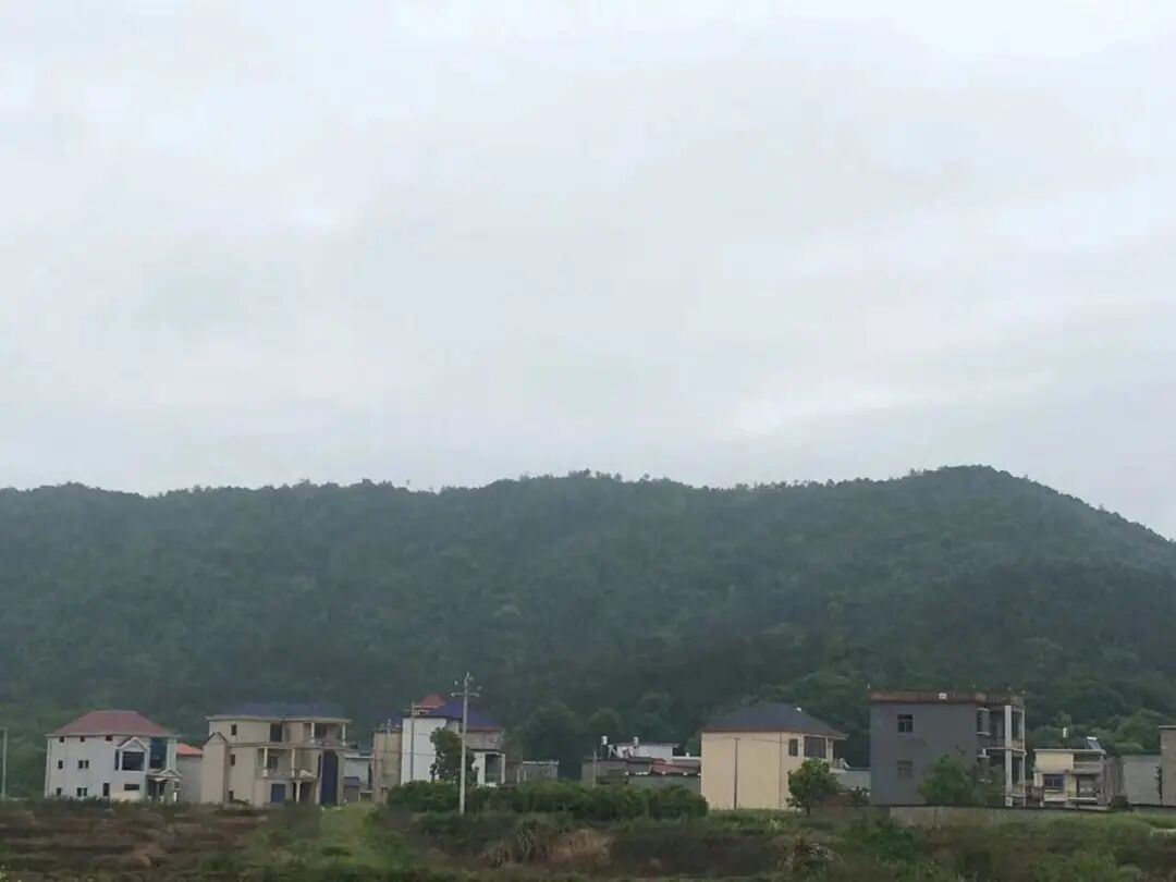 传家训扬新风之423/阳峰乡芭蕉山魏家村(四):一代名中医魏荷生逸事