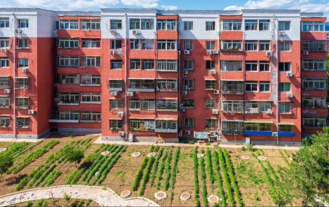 烈日炎炎 绿茵渐浓,南口镇正在 "夏" 载中!