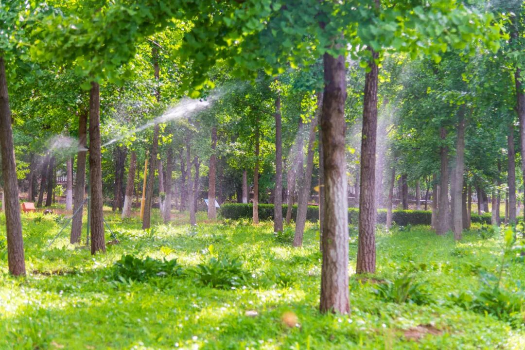 烈日炎炎 绿茵渐浓,南口镇正在 "夏" 载中!