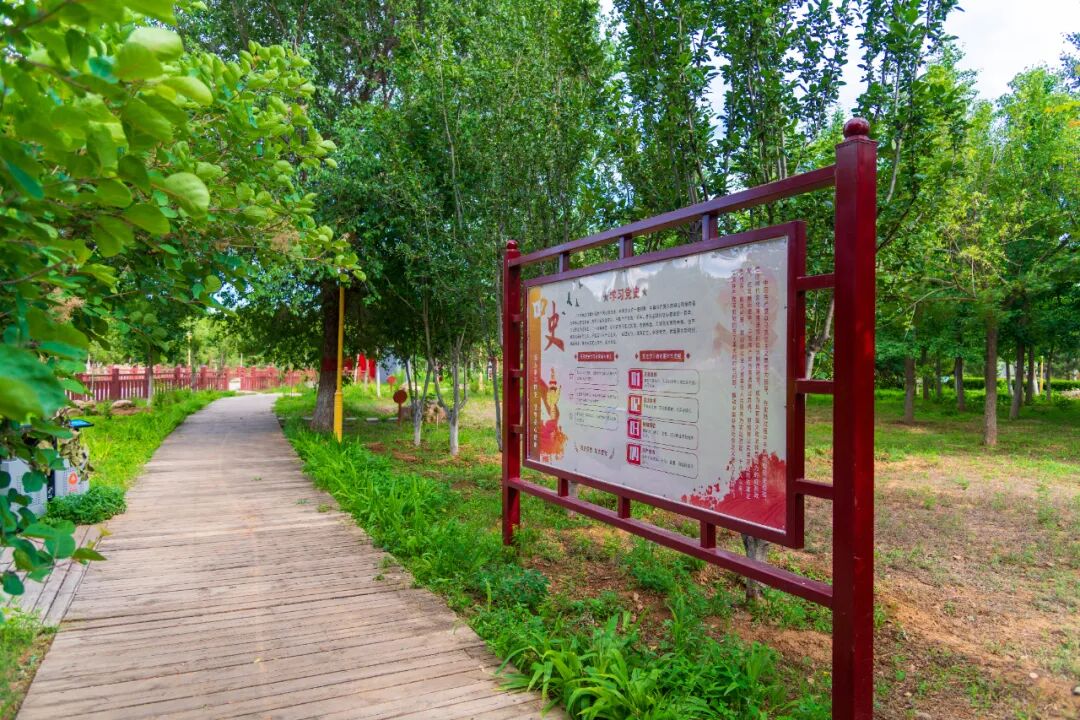 烈日炎炎 绿茵渐浓,南口镇正在 "夏" 载中!