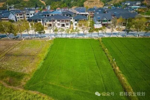 2026年农业经营主体能力提升补贴资金项目