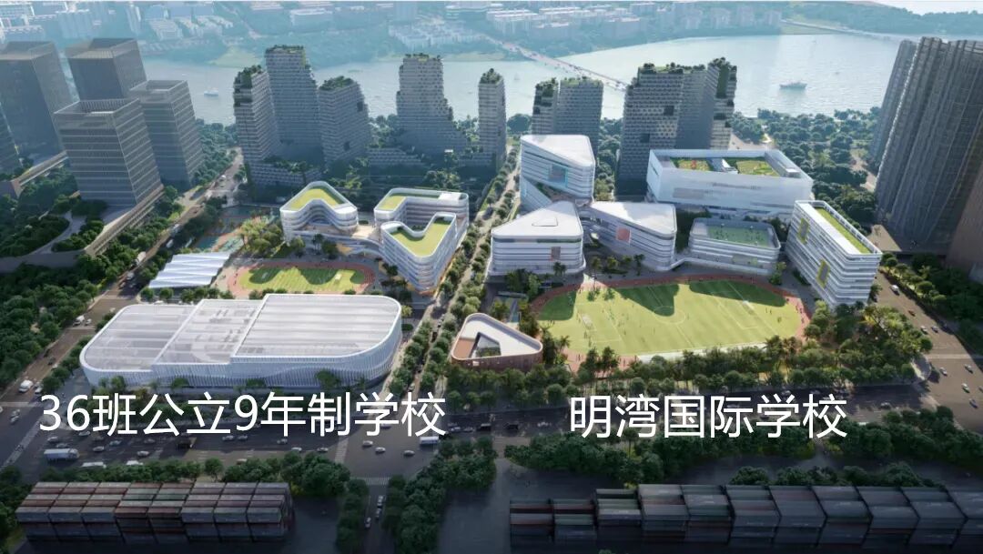 深圳國際學校有哪些_深圳國際學校排名top10_國際學校深圳