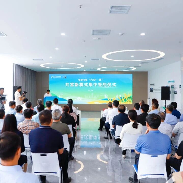 勇打头阵 争当先锋丨泊里镇党建引领创新“六位一体”模式集中签约仪式成功举办