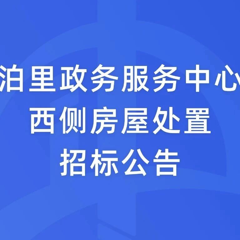 泊里政务服务中心西侧房屋处置招标公告