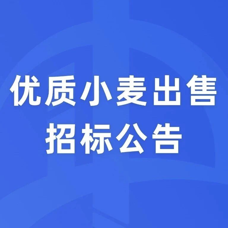 小麦出售招标公告