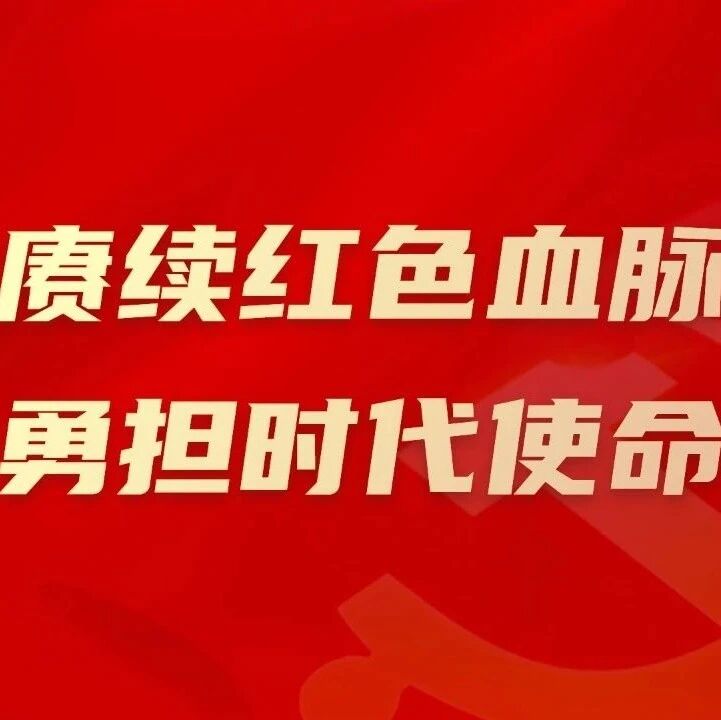 “赓续红色血脉，勇担时代使命”董城投党支部开展庆“七一”主题活动