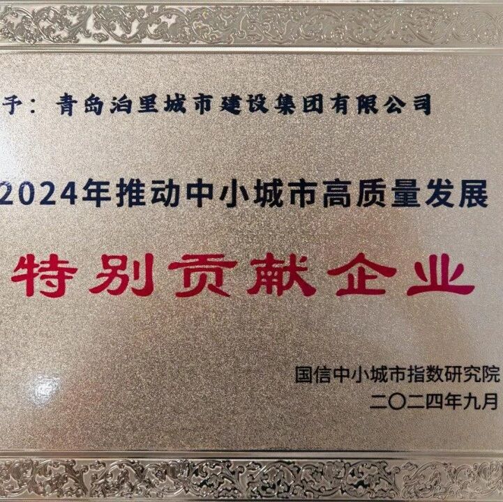 泊里城建集团荣获“2024年推动中小城市高质量发展特别贡献企业”