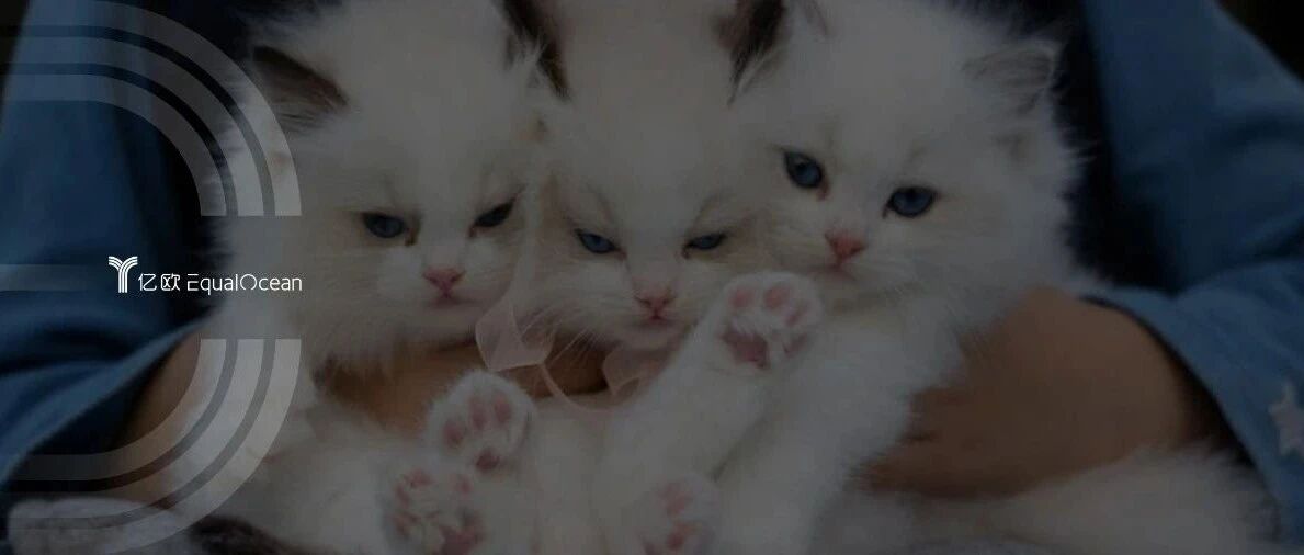 我在北京，花费近千元为宠物找“酒店”