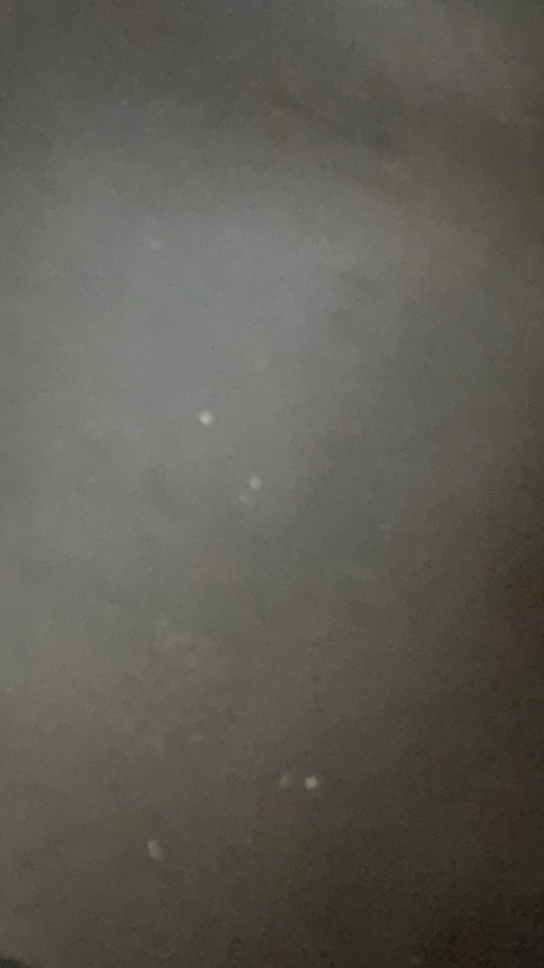 199主