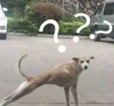 在新窗口中打开浏览