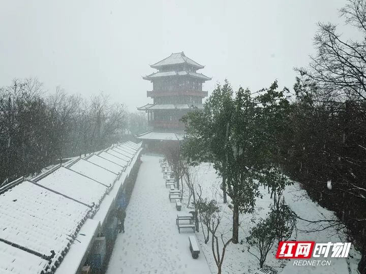 张家界|下雪的张家界美爆了！湖南这些地方或将迎来雨雪