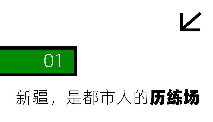 为什么离职的都去新疆了