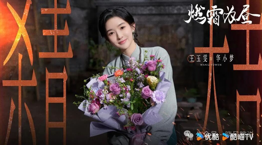 王玉雯演过的剧