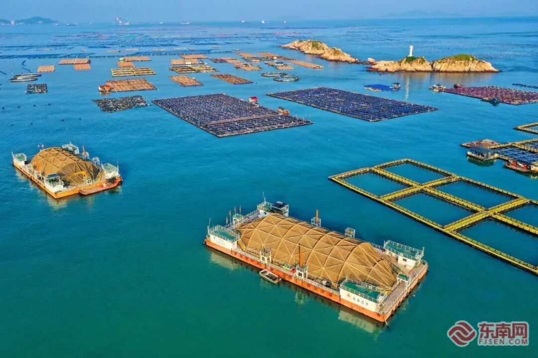 逐梦深蓝筑高地！福建加快建设现代海洋产业体系！