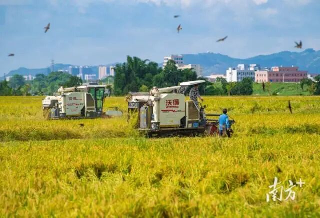 金融支持现代化产业体系有何成效？广东金融监管局发布成绩单