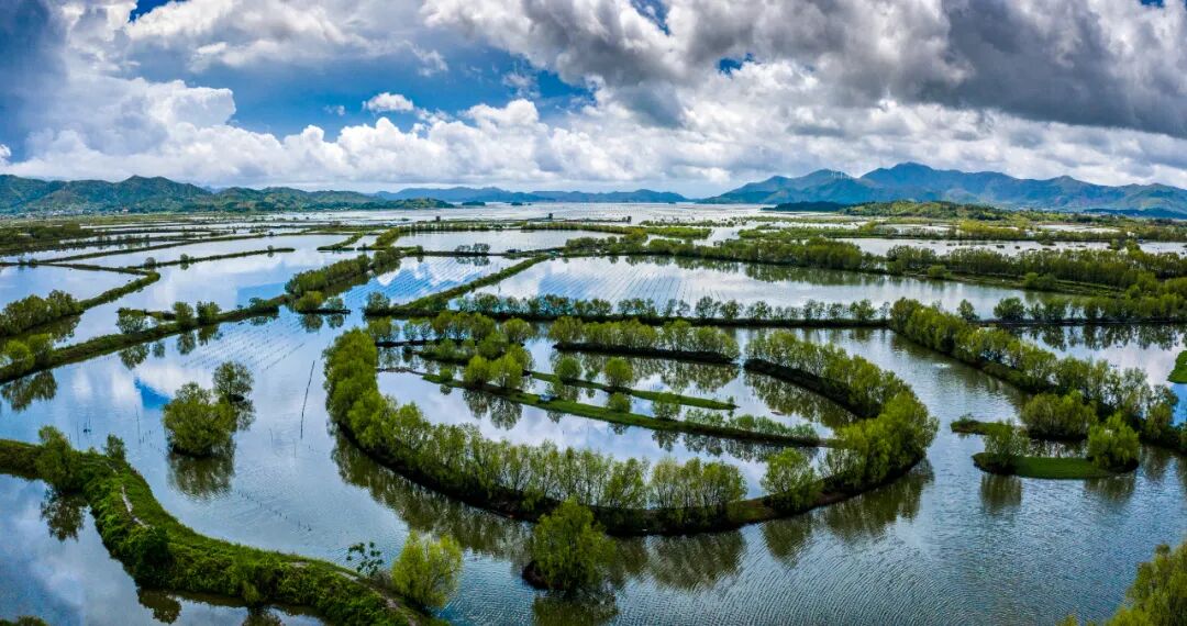 好招楼湿地公园。通讯员罗志明 摄