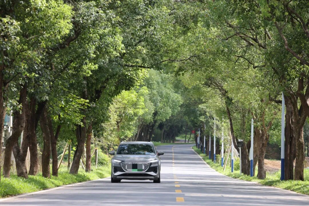 惠州日报记者王建桥 摄