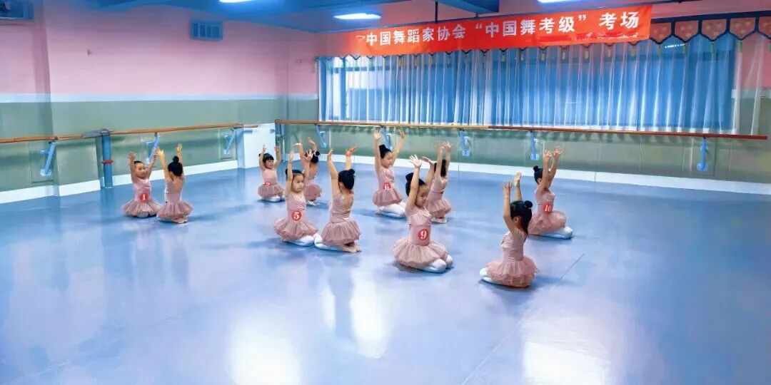 内蒙古舞蹈家协会2026年上半年“中国舞”考级工作圆满结束 第26张