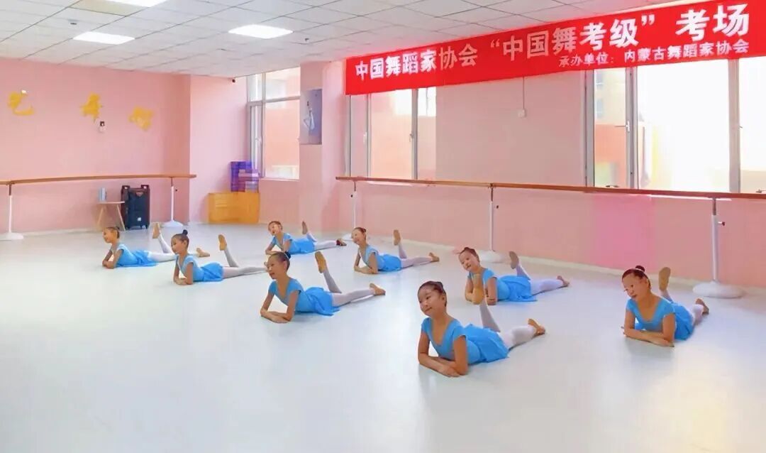 内蒙古舞蹈家协会2026年上半年“中国舞”考级工作圆满结束 第8张